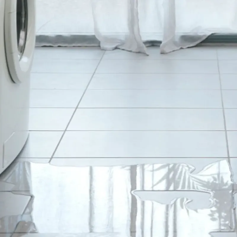 Appliance Leak Cleanup in Whiskey Creek, FL
